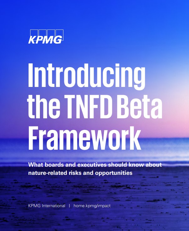 Introducing the TNFD Beta Framework 