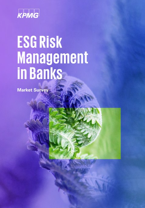 ESG Risk Management in Banks